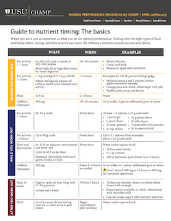 Link to Guide to Nutrient Timing.