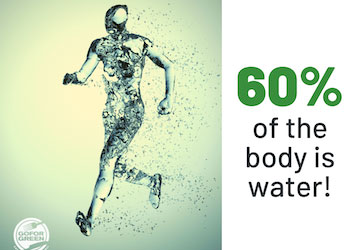 60  of the body is water 