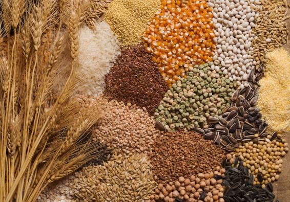 Grains that can be part of a holistic approach to performance nutrition and holistic diet plan 