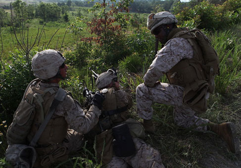 Leading  Official USMC Photo by Lance Cpl Tammy K  Hineline  Released 