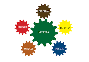 5 fundamentals of nutrition  Eat clean  Eat often  Hydrate  Mindset  and Recover highlights Navy fitness and wellness resourc