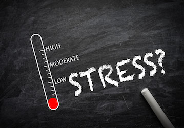 A stress meter showing low stress highlighting positive effects of using HPRC mental fitness and stress management resources 