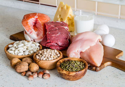 A sample of meats  dairy  eggs  beans and nuts which are protein-rich foods for peak military fitness and performance  