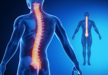 Illustration of spine pointing to possible spine injury treatments to promote military wellness