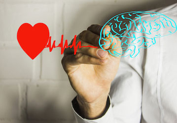 heart and brain connected by ekg line indicating connection between heart health and mental wellness