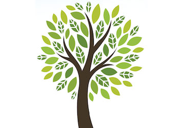 Growing tree symbolizing growing a gratitude practice and developing total force fitness 