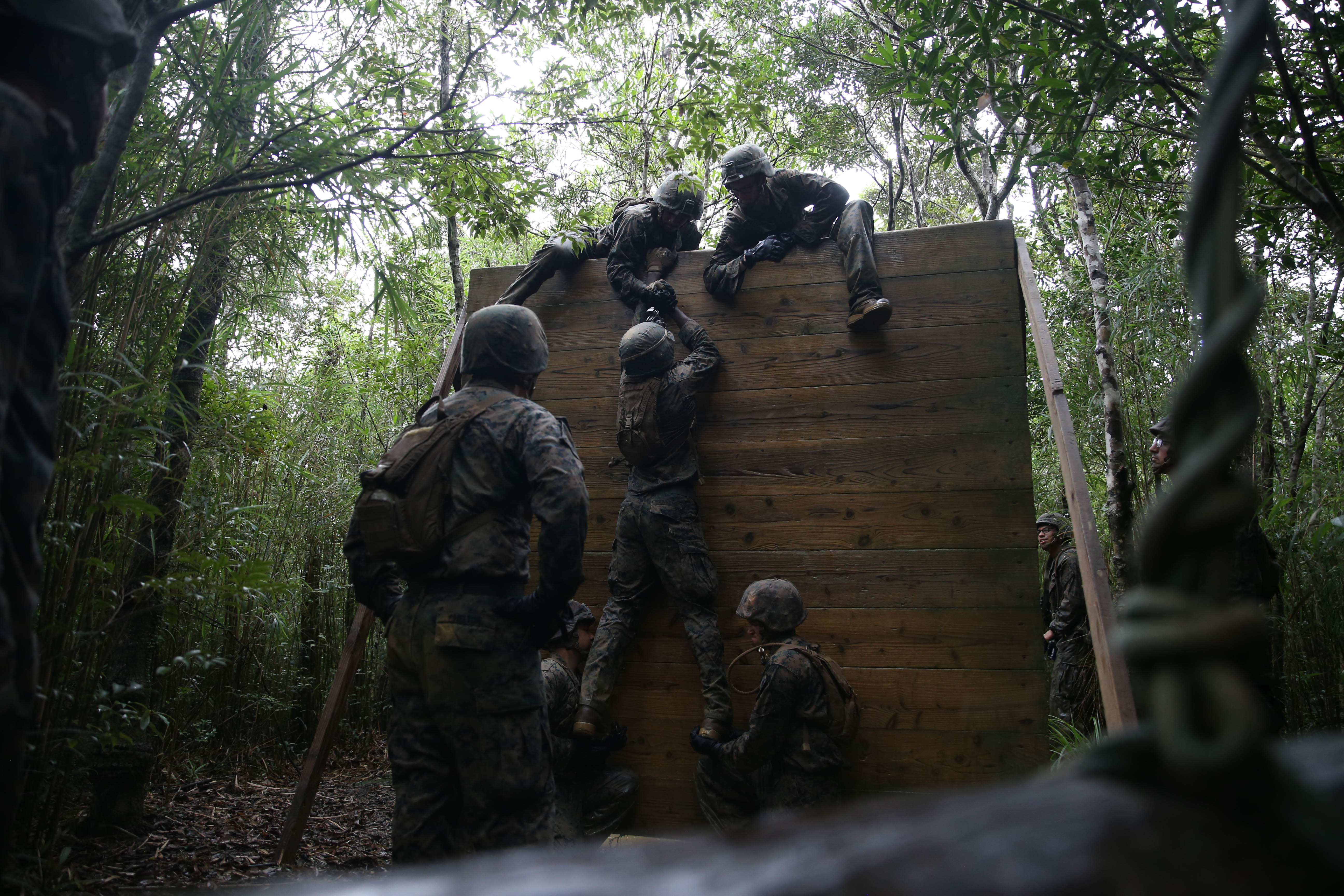 Military Service members overcoming an obstacle