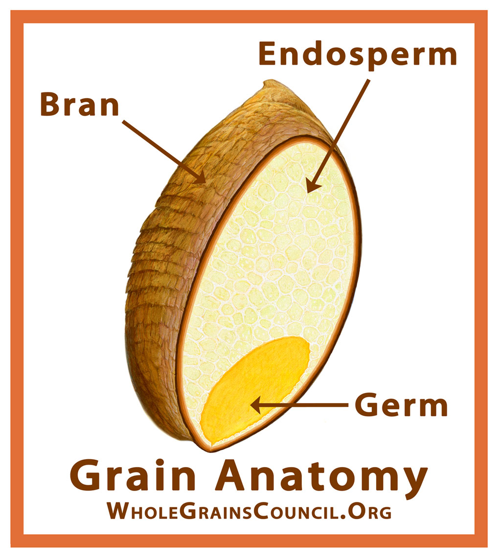 Grain parts