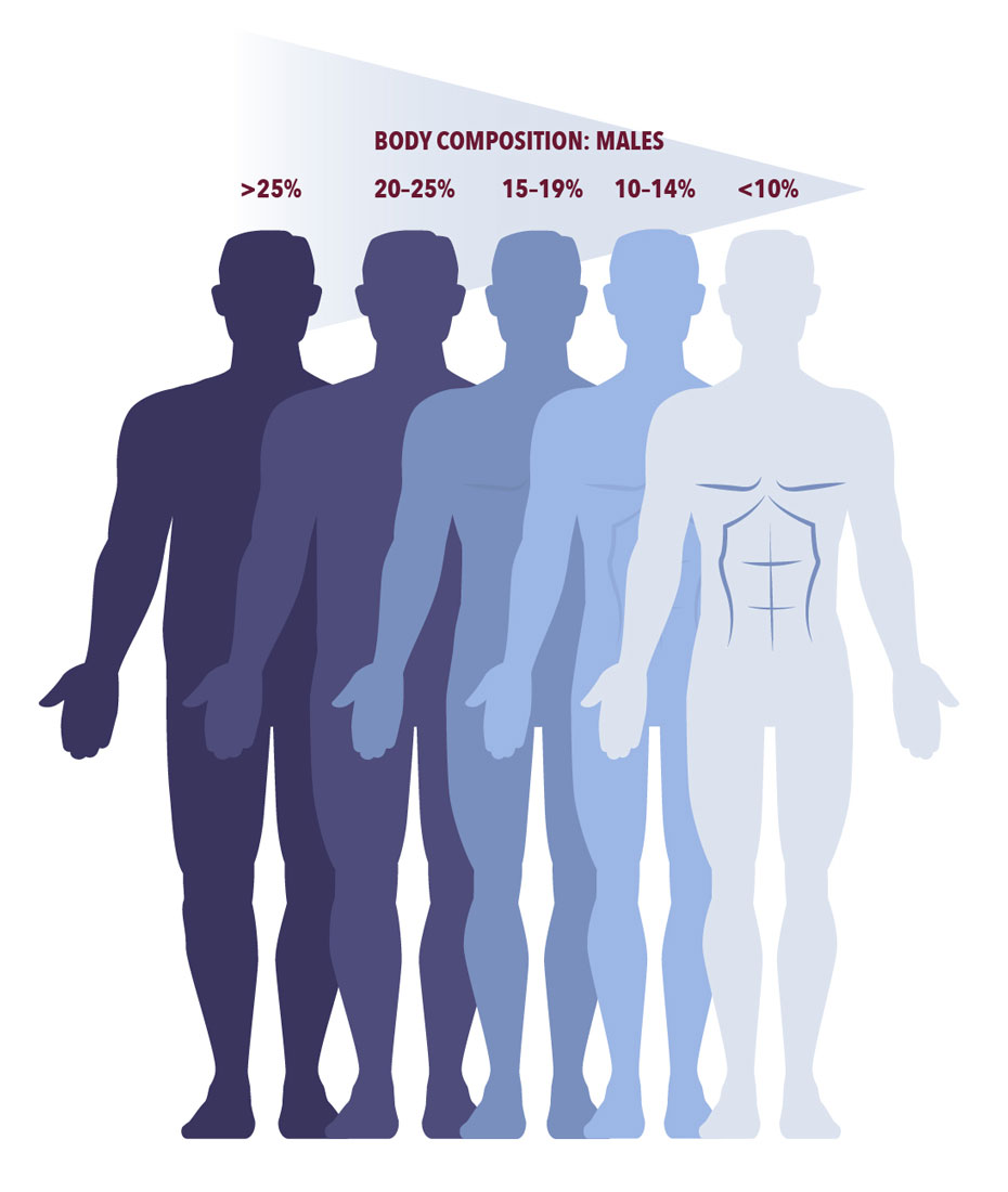 Body composition for males. Less than 10 percent of body fat shows extreme definition. Ten to 14 percent shows visible abs. 15 to 19 percent is lean. 20–25 percent shows a bit extra fluff, and more than 25 percent represents a convex body shape in the abdomen.