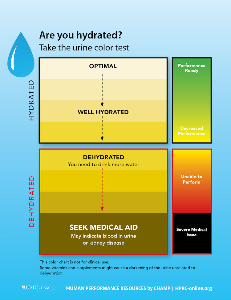 Are you hydrated? Take the urine color test. Nearly clear to pale yellow urine indicates optimal hydration and a high level of performance readiness.   When your urine darkens to medium yellow, you’re probably still well hydrated, but slightly less performance ready than when your urine is light yellow.  The darker your urine is, the less hydrated you are and the more likely you are to have decreased performance.  You’re considered dehydrated—and unable to perform at your best—when your urine is dark yellow. You need to drink more water.  If your urine is brown, you might have a severe medical issue. Seek medical aid. You may have blood in your urine or kidney disease.   The color chart is not for clinical use. Some vitamins and supplements might cause a darkening of the urine unrelated to dehydration.  From Human Performance Resources by CHAMP, the Consortium for Health and Military Performance, HPRC-online.org.