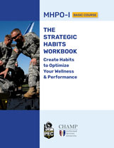 Download the Strategic Habits Workbook here