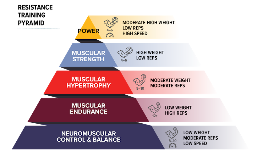 At the base of the pyramid is neuromuscular control and balance. This workout focuses on doing low-weight exercises and moderate reps (about 8 to 10) at a low speed.  The next level up is muscular endurance. This workout focuses on doing low-weight exercises and high reps (12 or more).  Muscular hypertrophy is the middle level of the pyramid. This workout focuses on doing moderate-weight exercises and moderate reps (8 to 10). The next level up is muscular strength. This workout focuses on doing high-weight exercises and low reps (4 to 6). The top level is power. This workout focuses on doing moderate-to-high weight exercises and low reps (4 to 6) at a high speed.