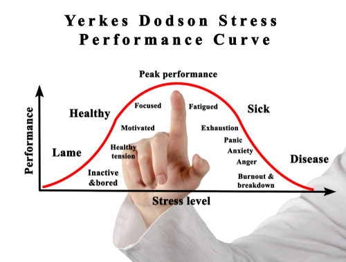 Yerkes Dodson Stress Performance Curve