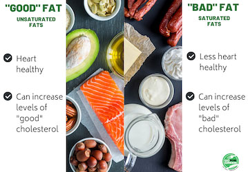 "Good" Fat|Unsaturated Fats: Heart healthy, Can increase levels of "good" cholesterol. Bad Fat|Saturated Fats: Less heart healthy, Can increase levels of "bad" cholesterol. Go for Green logo.