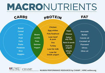 HPRC macronutrient diagram showing healthy carb  fat  and protein foods for optimal performance nutrition  