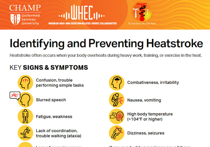 Identifying and Preventing Heatstroke infosheet thumbnail